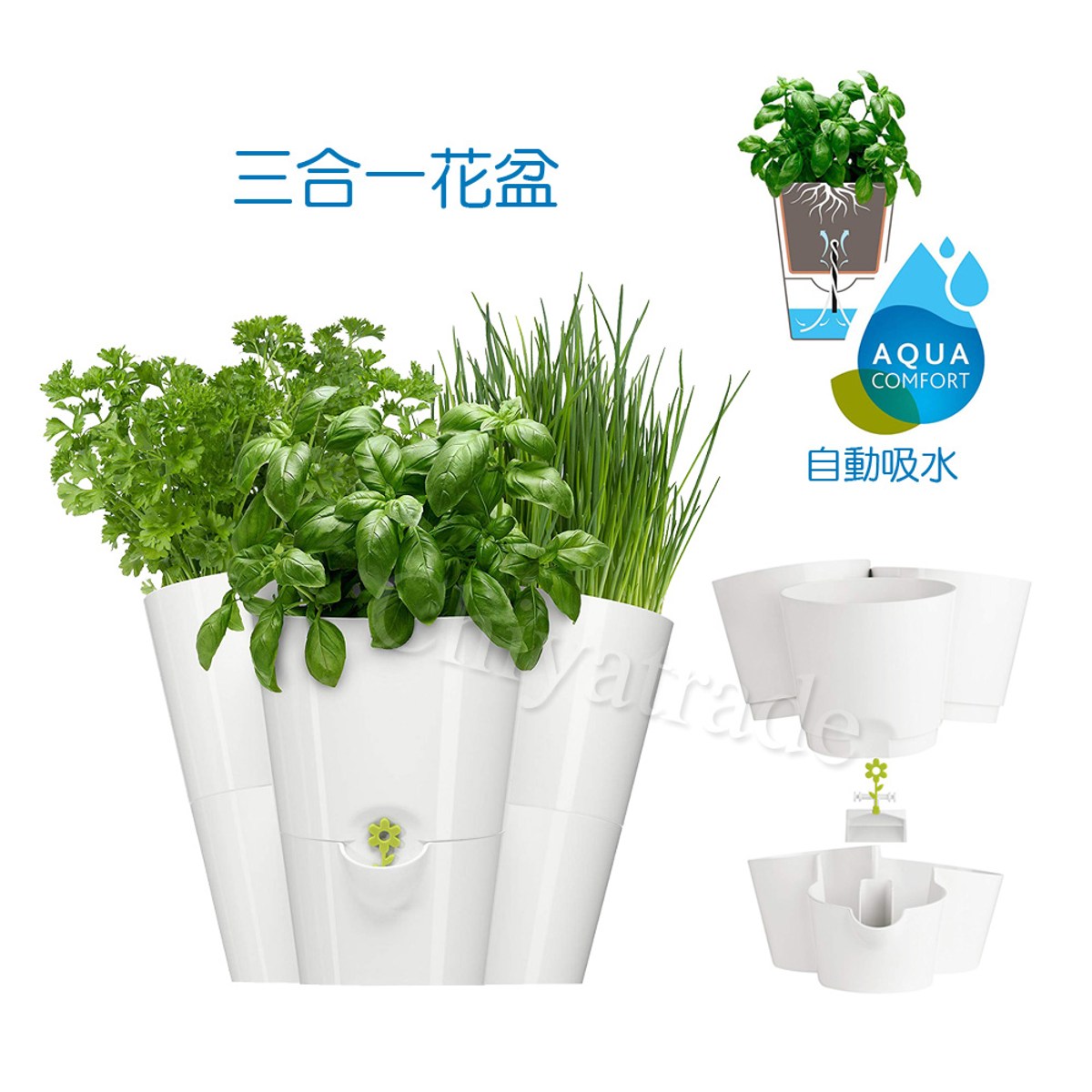 【德国emsa】三合一园艺自动浇水吸水器 花盆植栽盆栽