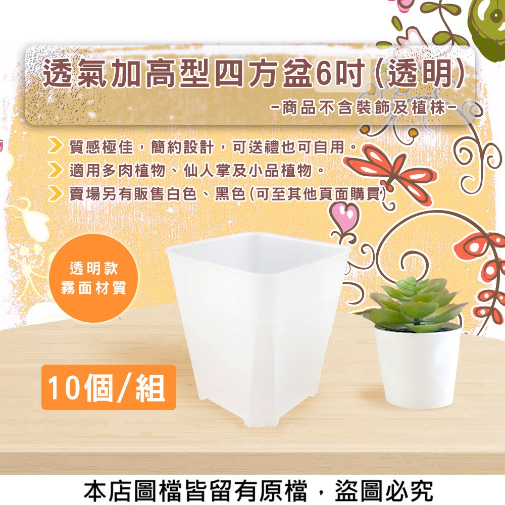 蔬菜工坊】透氣加高型四方盆6吋10個/組(透明)｜園藝休閒｜特力屋．特力