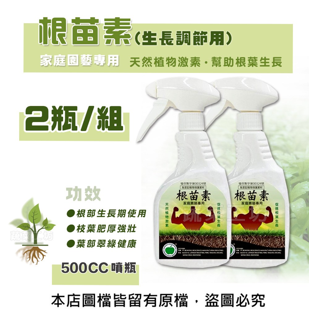 根付 筍 骨 牙等天然素材 無銘 根付 筍 骨 牙等天然素材 無銘 駿泰食品|脆筍|開胃方便菜|淨味香素食網