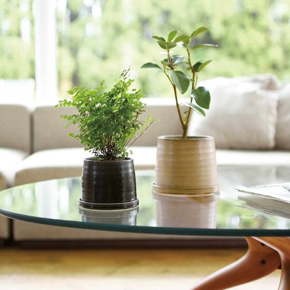 日本KINTO PLANT POT 192陶瓷花盆11cm-米｜家飾花藝｜HOLA 和樂家居