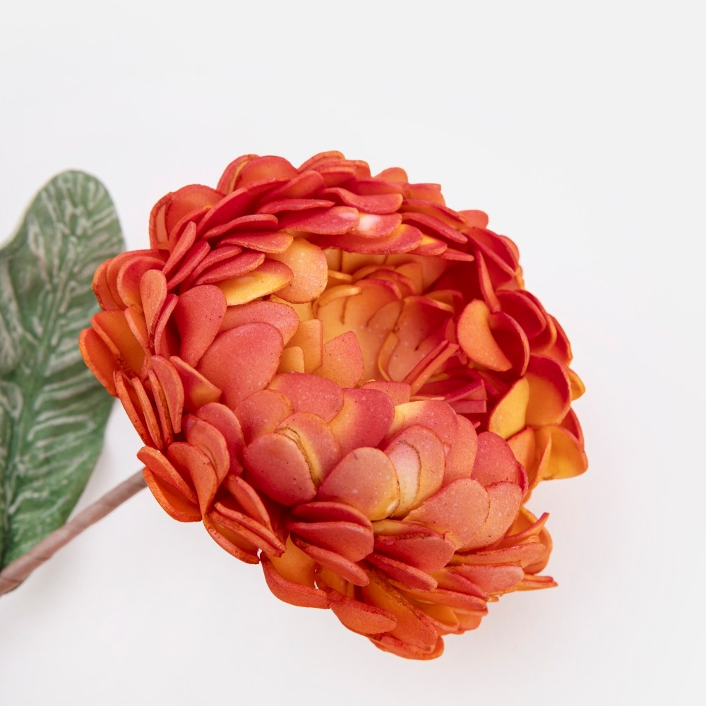 Flora芙蘿拉花插翠菊橘｜家飾花藝｜HOLA 和樂家居