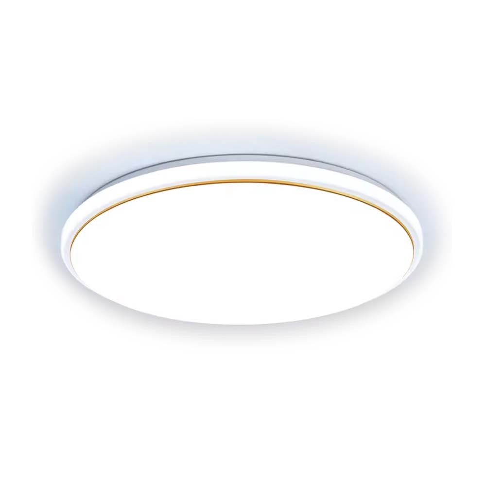 超薄低奢 24W  LED 吸頂燈