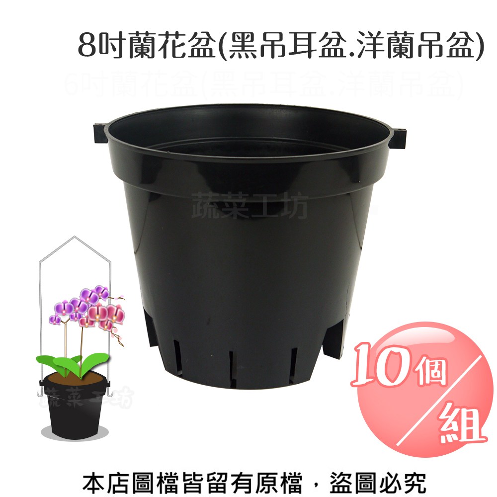 花盆 楽天市場】【レビュー特典あり】 四十沢木材工芸 KITO 輪花盆 大