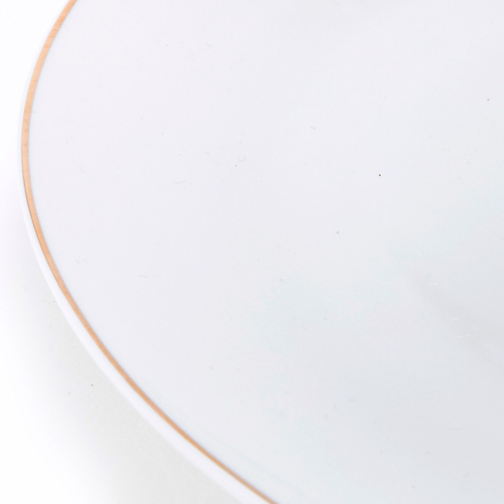 緻金骨瓷平盤25cm 線圈｜餐茶用具｜HOLA 和樂家居