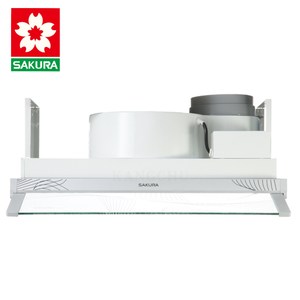 櫻花牌R605套房適用單出風口60cm兩用隱藏式除油煙機