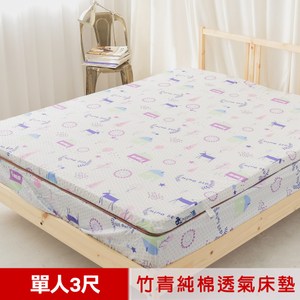 【米夢家居】夢想家園-冬夏兩用天然涼爽竹青純棉透氣床墊-單人3尺白日夢