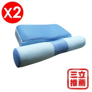 【贈提袋】家e枕【YAMAKAWA】全方位護頸枕頭x(2入)