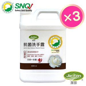 潔芬抗菌洗手露4000ml補充桶3入組(山茶花)