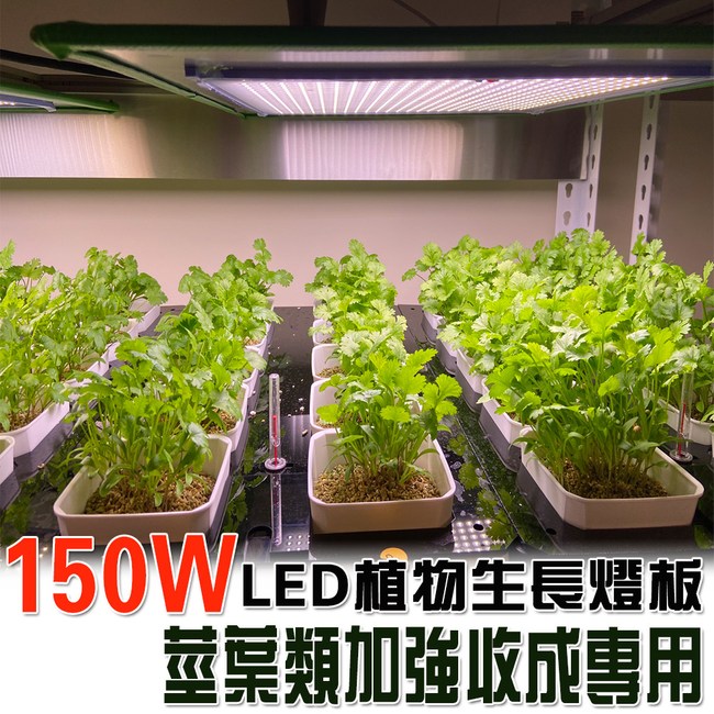 君沛燈板系列150瓦吊掛式植物燈莖葉加強光譜植物成長專用燈 燈泡燈管 特力家購物網 君沛燈板系列150瓦吊掛式植物燈莖葉加強光譜植物成長專用燈 燈泡燈管 特力家購物網