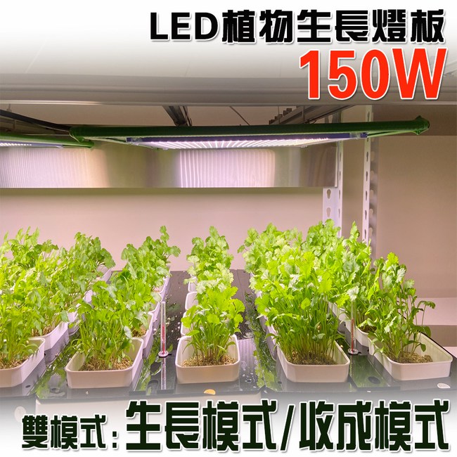 君沛燈板系列150瓦吊掛式植物燈雙色溫植物成長專用燈植物 燈泡燈管 特力家購物網