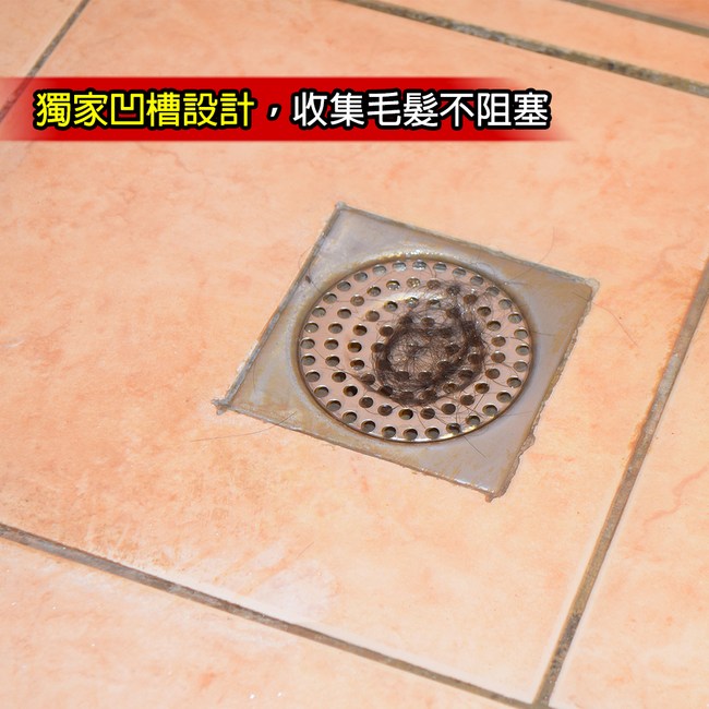 G 居家 第二代雙層防蟑不鏽鋼網 浴室排水口毛髮過濾器 3入組 清潔工具 特力家購物網