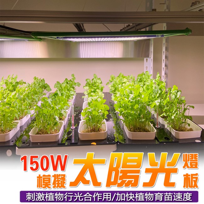 君沛燈板系列150瓦吊掛式植物燈全光譜植物成長專用燈植物 燈泡燈管 特力家購物網