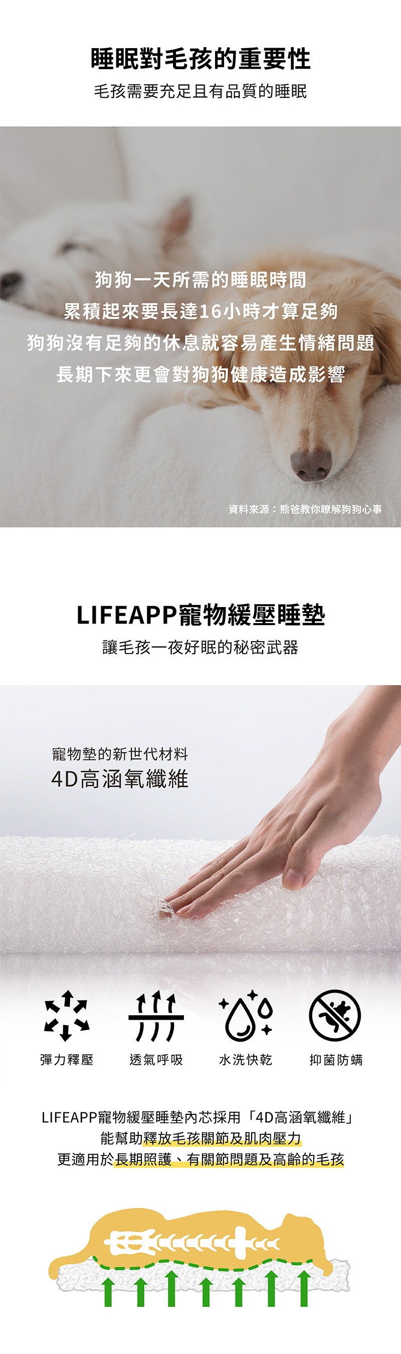 Lifeapp經典格子睡墊 Xs 藍格子款 小型犬貓 長期照護 高齡犬貓 Hola特力和樂 Yahoo奇摩超級商城