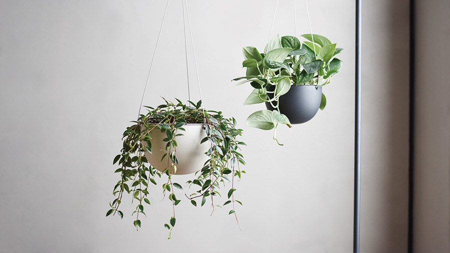 日本kinto Plant Pot盆栽吊籃14cm 米色 傢飾配件 特力家購物網