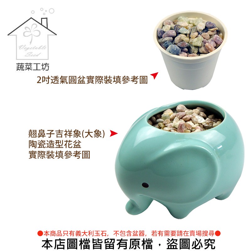 義大利玉石1.2分20公斤±5%裝(招財石.水族石.裝飾石)｜園藝休閒｜特力屋