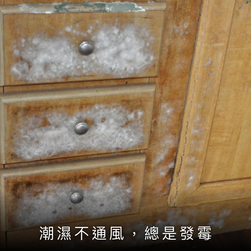 免螺絲角鋼衣架正面展示，層板與吊衣桿結構清晰可見