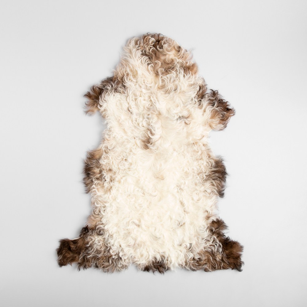 自然單張羊毛皮40x70 混色｜家具地毯｜HOLA 和樂家居