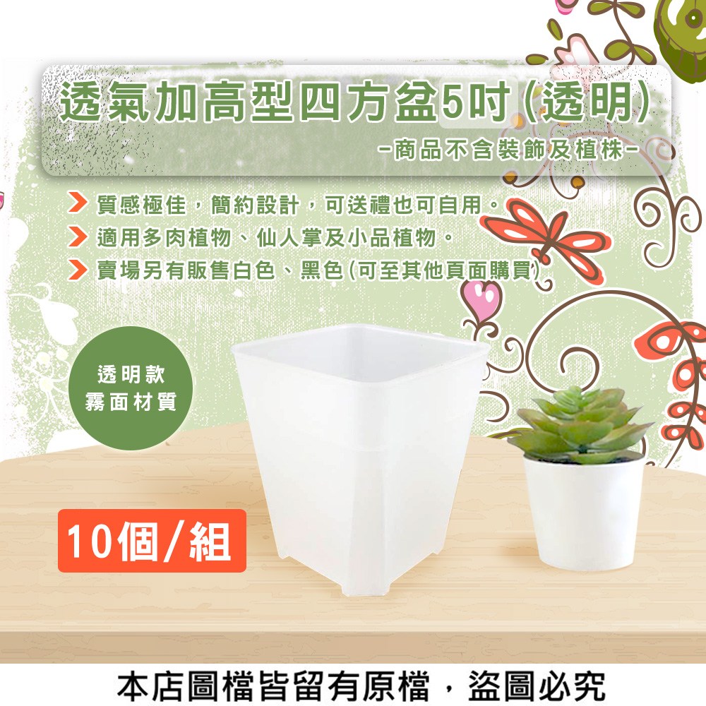 蔬菜工坊】透氣加高型四方盆5吋10個/組(透明)｜園藝休閒｜特力屋．特力