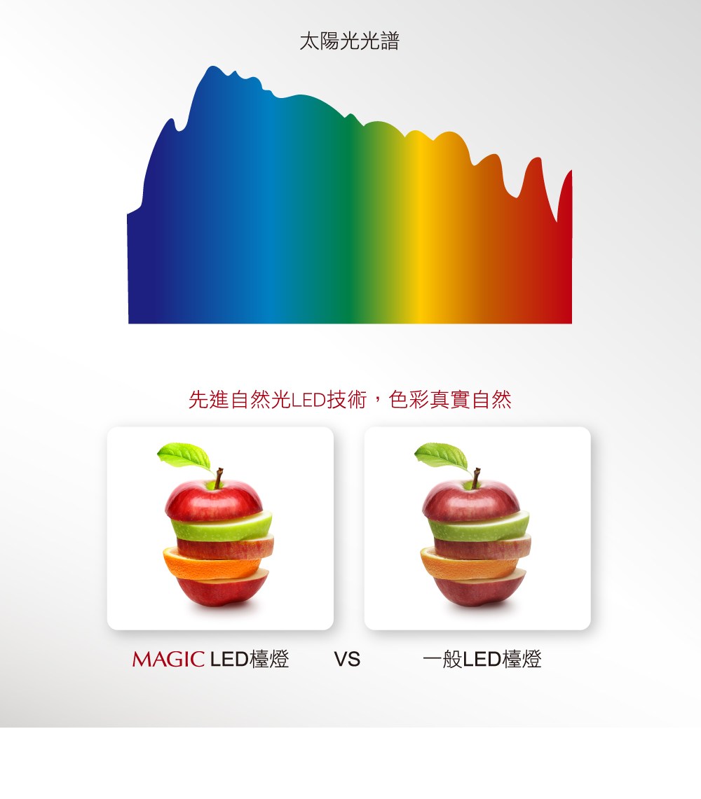 憭芷�賢����霅� ���脰�芰�嗅��LED��銵�,�脣蔗��撖西�芰�� MAGIC LED瑼舐�� 銝��昭ED瑼舐�� 