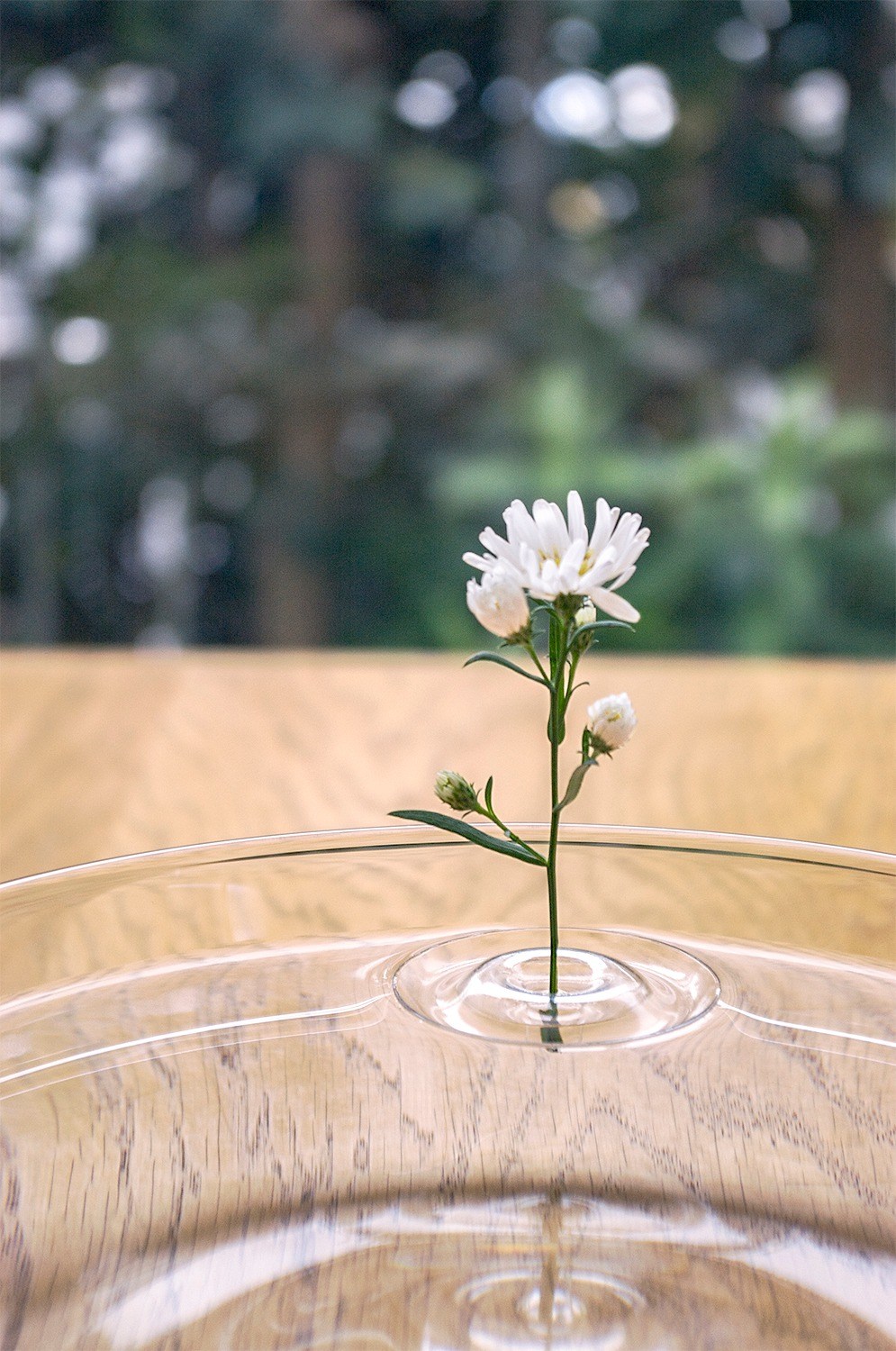 日本OODESIGN 漂浮小花器｜家飾花藝｜HOLA 和樂家居