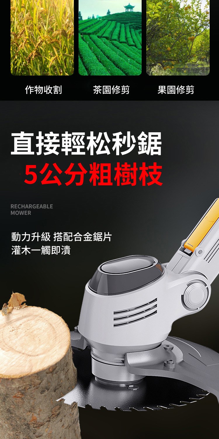 ������蝝� �剝�������貊��