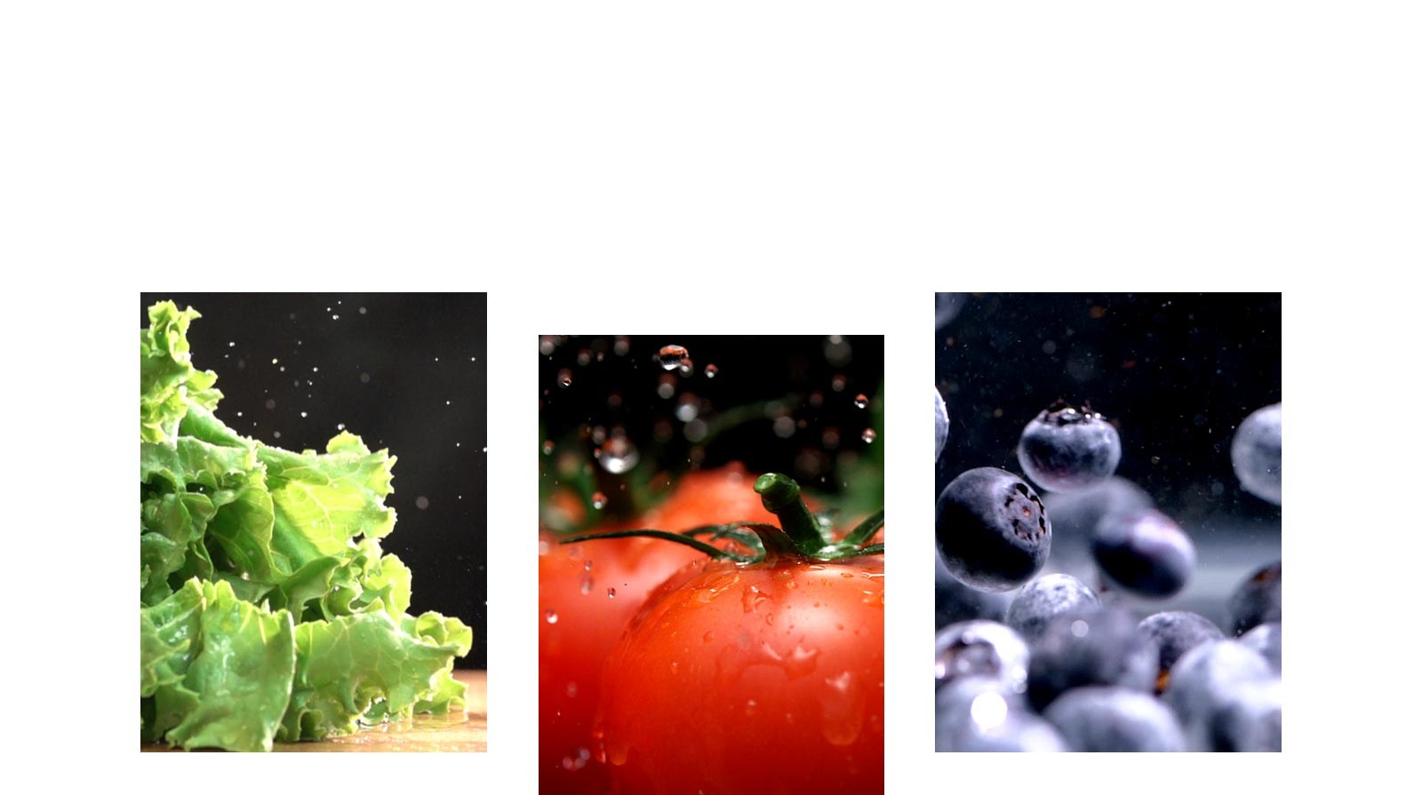 生菜、番茄和藍莓等水果和蔬菜存放於產品中，可保持新鮮。